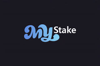 MyStake Evaluation MyStake Evaluation